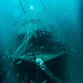 Wreck Diving in Pondicherry