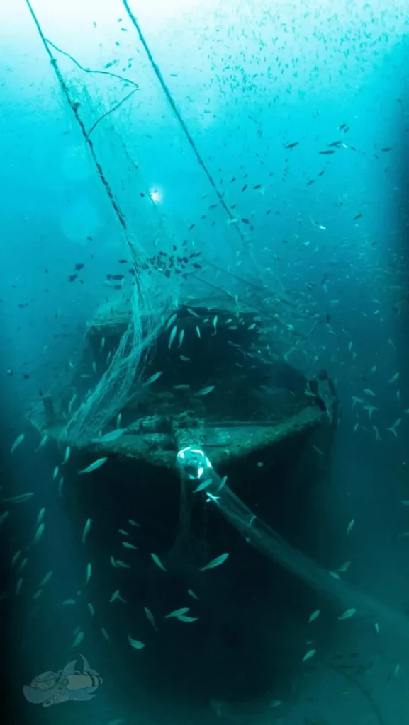Temple Adventures, Scuba Diving, Scuba Diving in Pondicherry, Scuba Diving in India, Best Scuba Diving in India, diving, diving in Pondicherry, diving in india, best diving in india, best diving in Pondicherry, Place to visit in Pondicherry, Place to see in Pondy, Watersports in Pondicherry, Scuba diving in Pondy, Things to do in Pondicherry, Adventure activities in Pondy, Pondicherry tourist places, Pondicherry water sports, Pondy water sports, Sailing in Pondicherry, Boating in Pondy, Alternate career options, Best scuba diving in Pondicherry, Best scuba dive centre in india, PADI CDC centre in India, Open water course in India, Free diving in India, Dive master course in India, PADI dive master course in Pondy, Best place to learn scuba diving in India, Scuba instructor course in India, Best dive site in India, Best place to dive in Pondicherry, Best deep dive site in India, Best Scuba equipment in India,