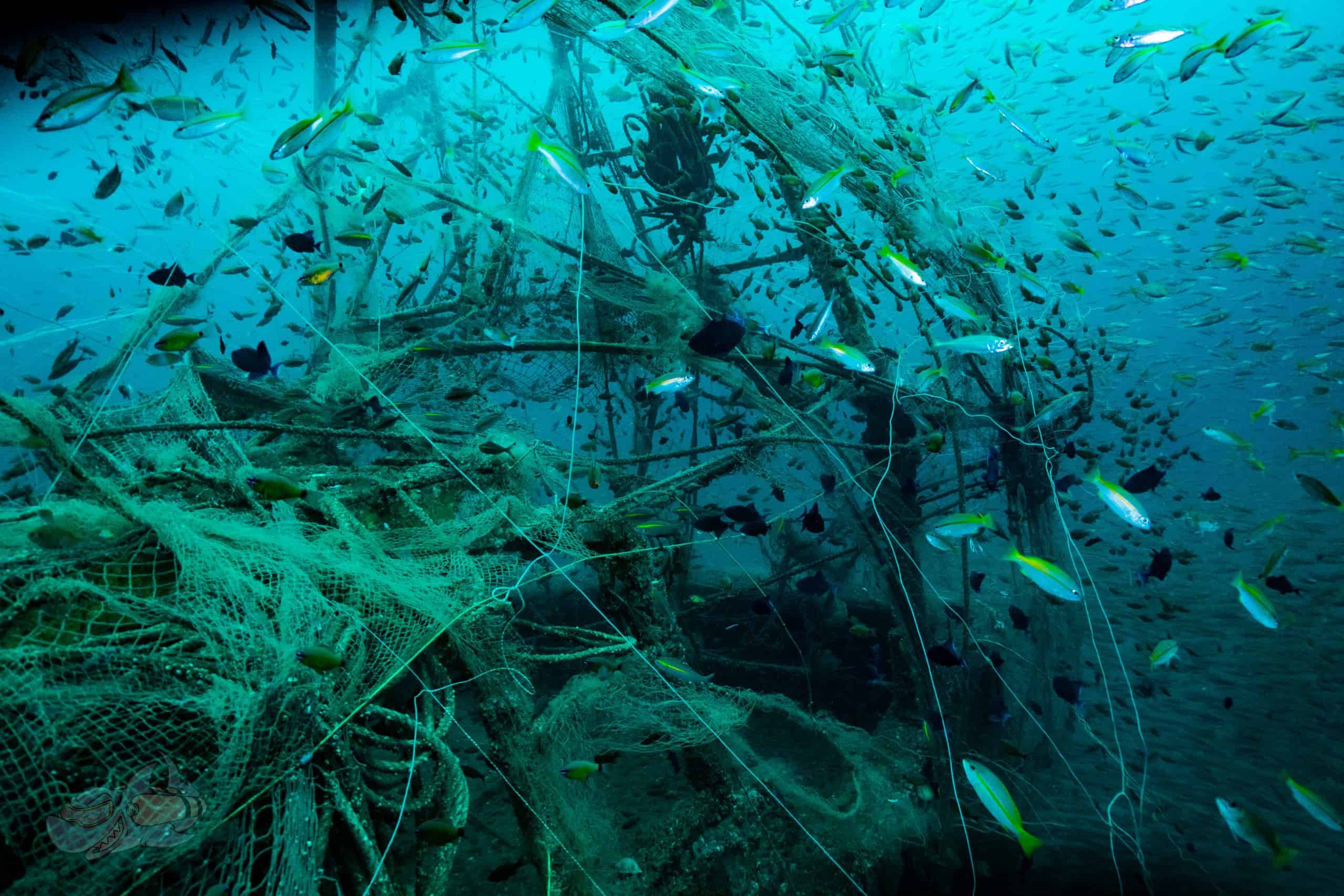 ocean cleaning