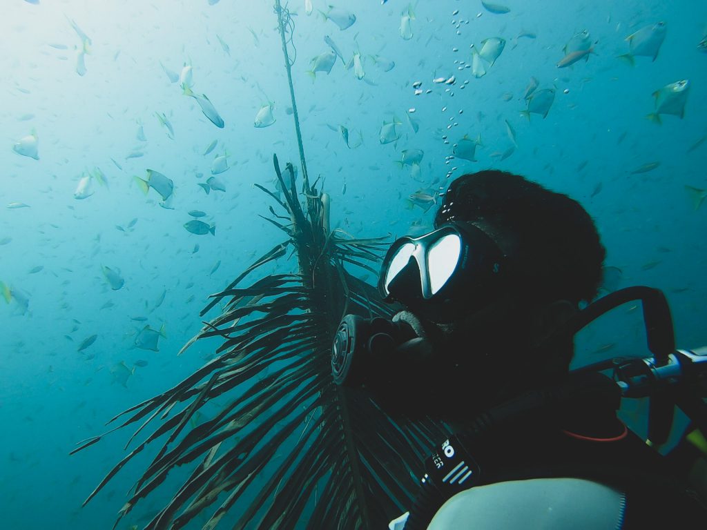 scuba diving in India