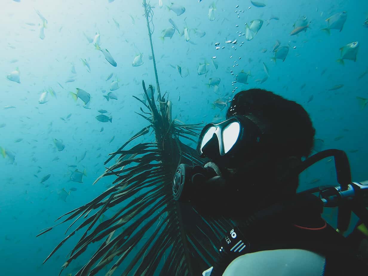 experience scuba diving