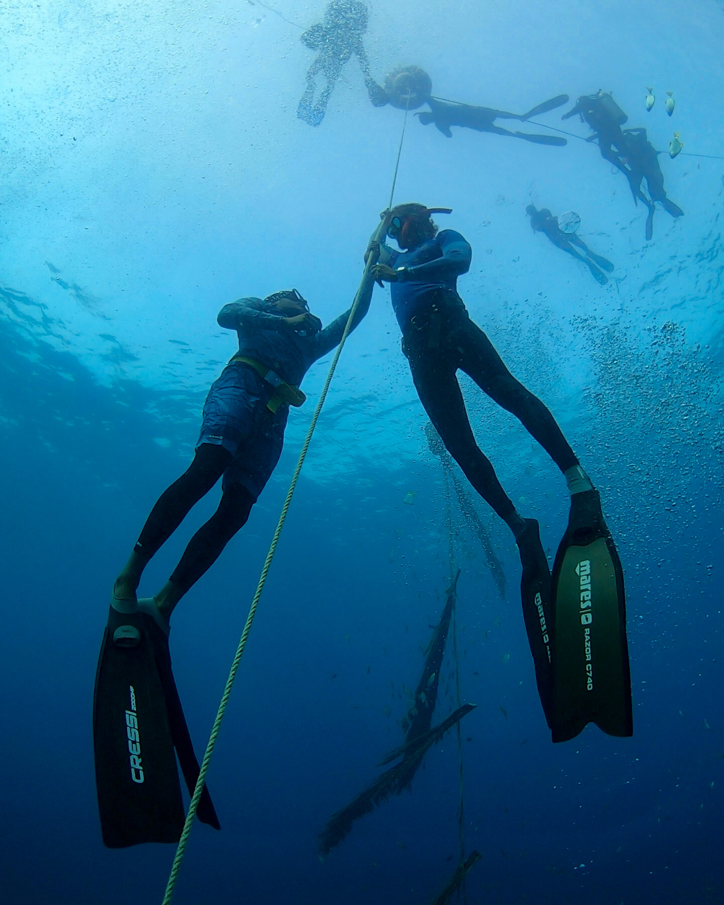 freediving buddy system