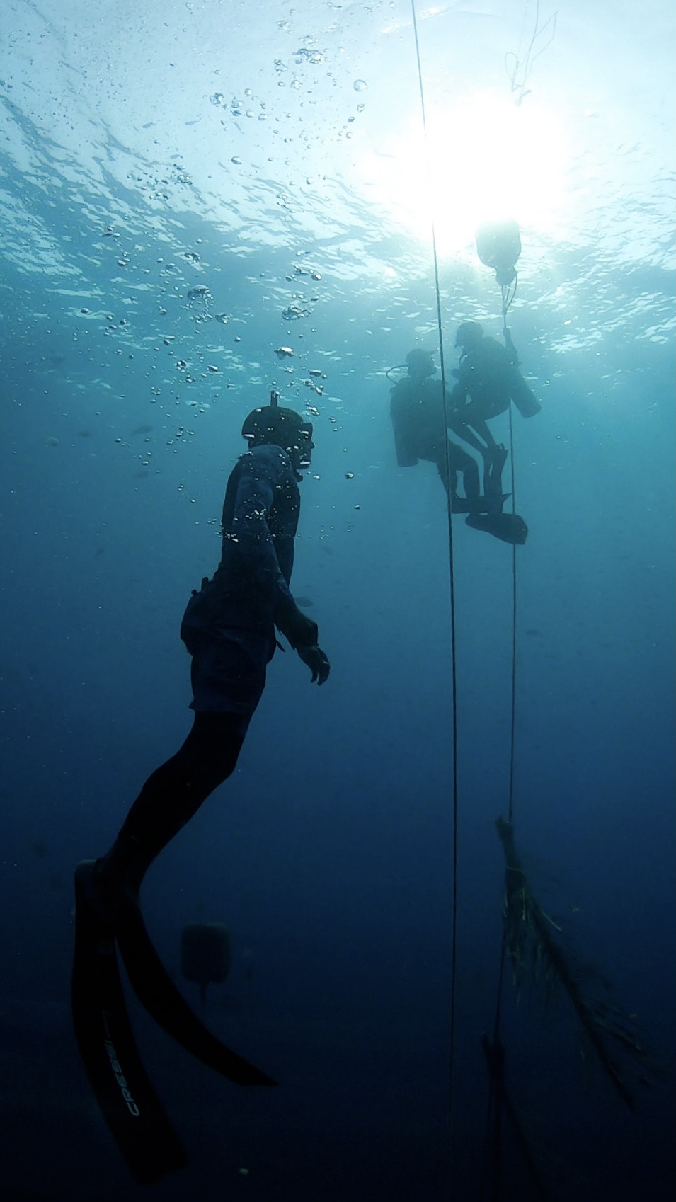 freediving in pondicherry 