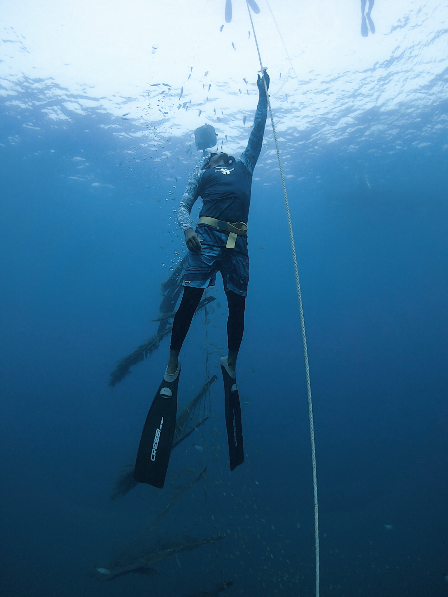 freediving