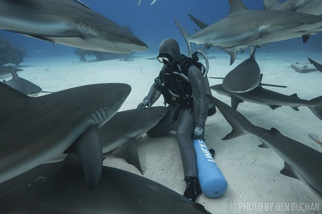 padi women's dive day 