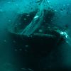 Ghost Wreck