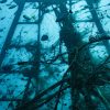 Winch and Mast covered with ghost nets