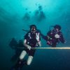 four people are scuba diving underwater with holding a rope