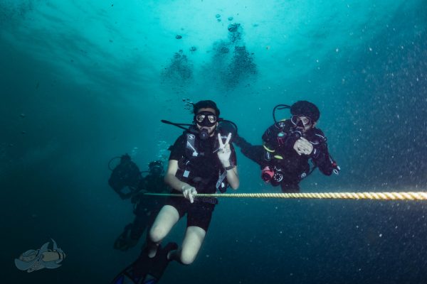 four people are scuba diving underwater with holding a rope