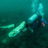 Diver Navigating over a bottom reef