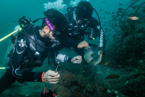 two scuba experts helping fish to get out, stuck in old wrecked net