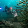 Diver with multi colour lights and lion fish