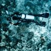 Hardcorals with a diver and a camera