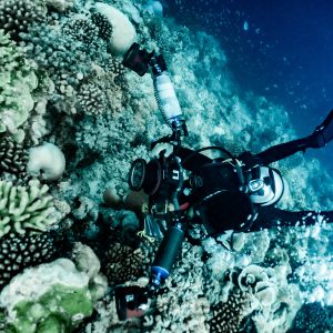 Learn Underwater Digital Photography Course at Temple Adventures