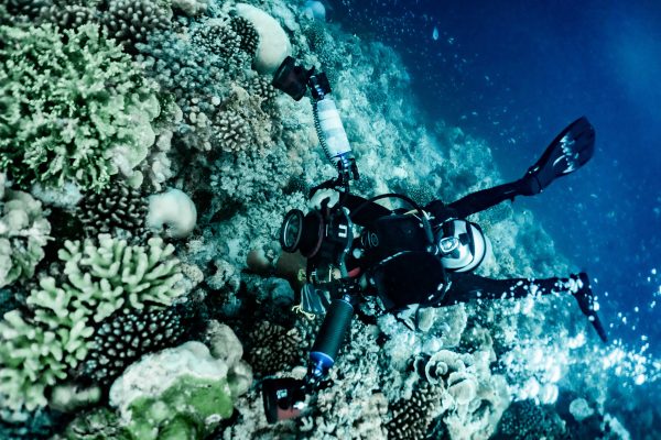 Learn Underwater Digital Photography Course at Temple Adventures