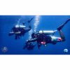 under water world exploration and scuba diving with temple adventures