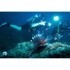 scuba diving and underwater world exploration