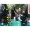 scuba diving and underwater world exploration