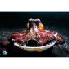 scuba diving and underwater world exploration