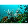 scuba diving and underwater world exploration