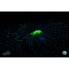 scuba diving and underwater world exploration