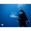 scuba diving and underwater world exploration