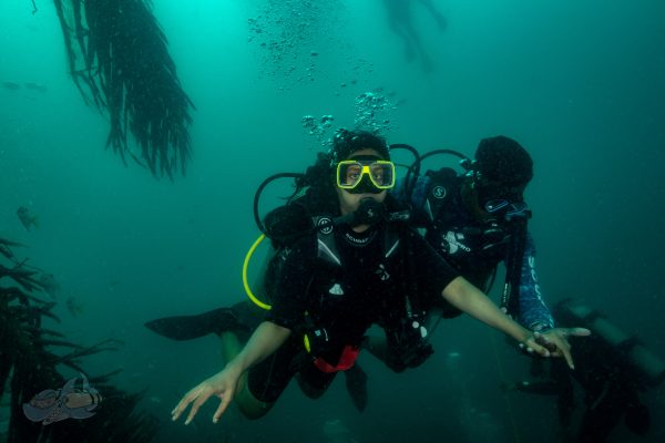 Adaptive diver training with temple adventures at Pondicherry