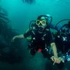 Adaptive diver training with temple adventures at Pondicherry