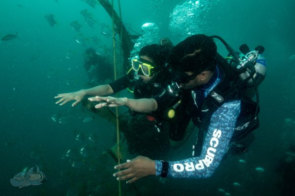 Adaptive diver training with temple adventures expert trainer at Pondicherry