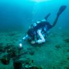 scuba expert doing scuba diving in Pondicherry with temple adventure Technical fun dive