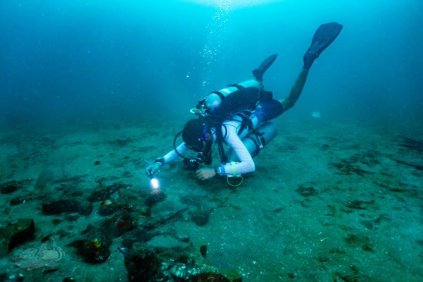 scuba expert doing scuba diving in Pondicherry with temple adventure Technical fun dive
