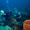 two scuba experts doing scuba diving in Pondicherry with temple adventure PADI Tec50