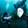learn how to find lost objects underwater. You’ll practice different types of underwater search patterns
