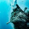 learn how to find lost objects underwater. You’ll practice different types of underwater search patterns