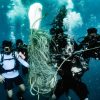 Search & Recovery Diver - learn how to find lost objects underwater. You’ll practice different types of underwater search patterns