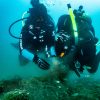 learn how you can make a difference for ocean protection every time you dive or travel.