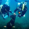 learn how you can make a difference for ocean protection every time you dive or travel.