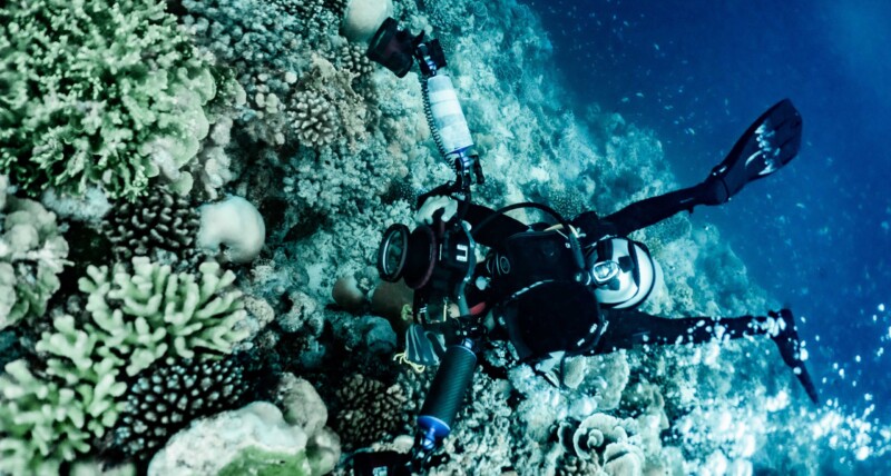 Temple Adventures, Scuba Diving, Scuba Diving in Pondicherry, Scuba Diving in India, Best Scuba Diving in India, diving, diving in Pondicherry, diving in india, best diving in india, best diving in Pondicherry, Place to visit in Pondicherry, Place to see in Pondy, Watersports in Pondicherry, Scuba diving in Pondy, Things to do in Pondicherry, Adventure activities in Pondy, Pondicherry tourist places, Pondicherry water sports, Pondy water sports, Sailing in Pondicherry, Boating in Pondy, Alternate career options, Best scuba diving in Pondicherry, Best scuba dive centre in india, PADI CDC centre in India, Open water course in India, Free diving in India, Dive master course in India, PADI dive master course in Pondy, Best place to learn scuba diving in India, Scuba instructor course in India, Best dive site in India, Best place to dive in Pondicherry, Best deep dive site in India, Best Scuba equipment in India,