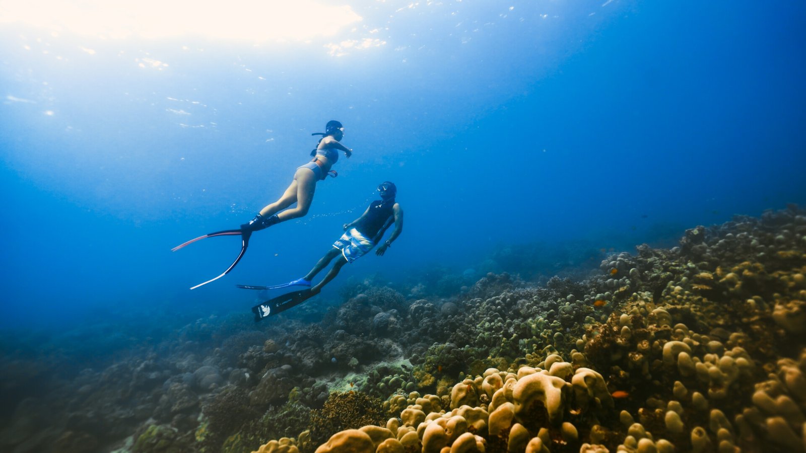 Pondy water sports with Temple Adventures