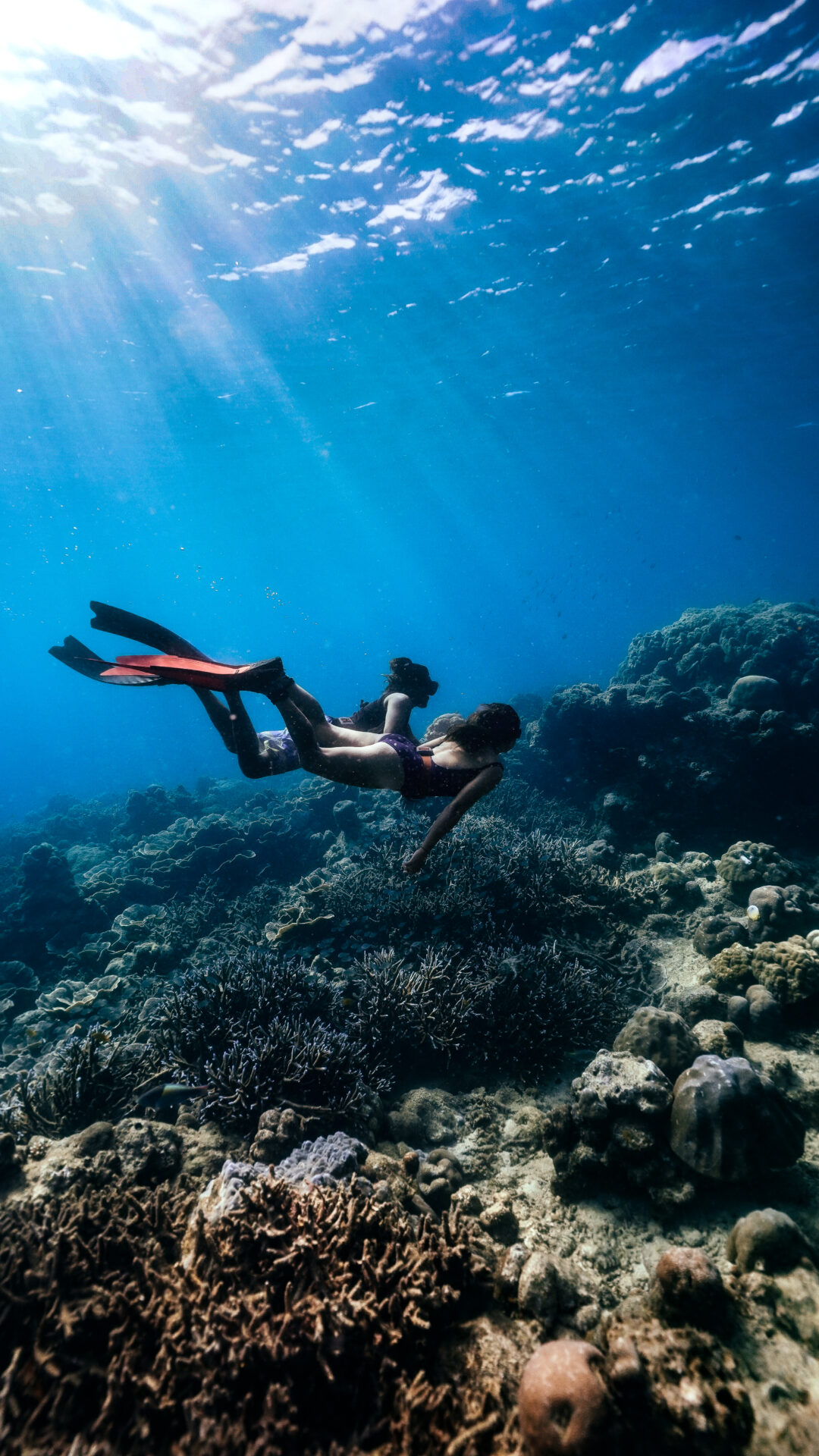 Havelock Diving