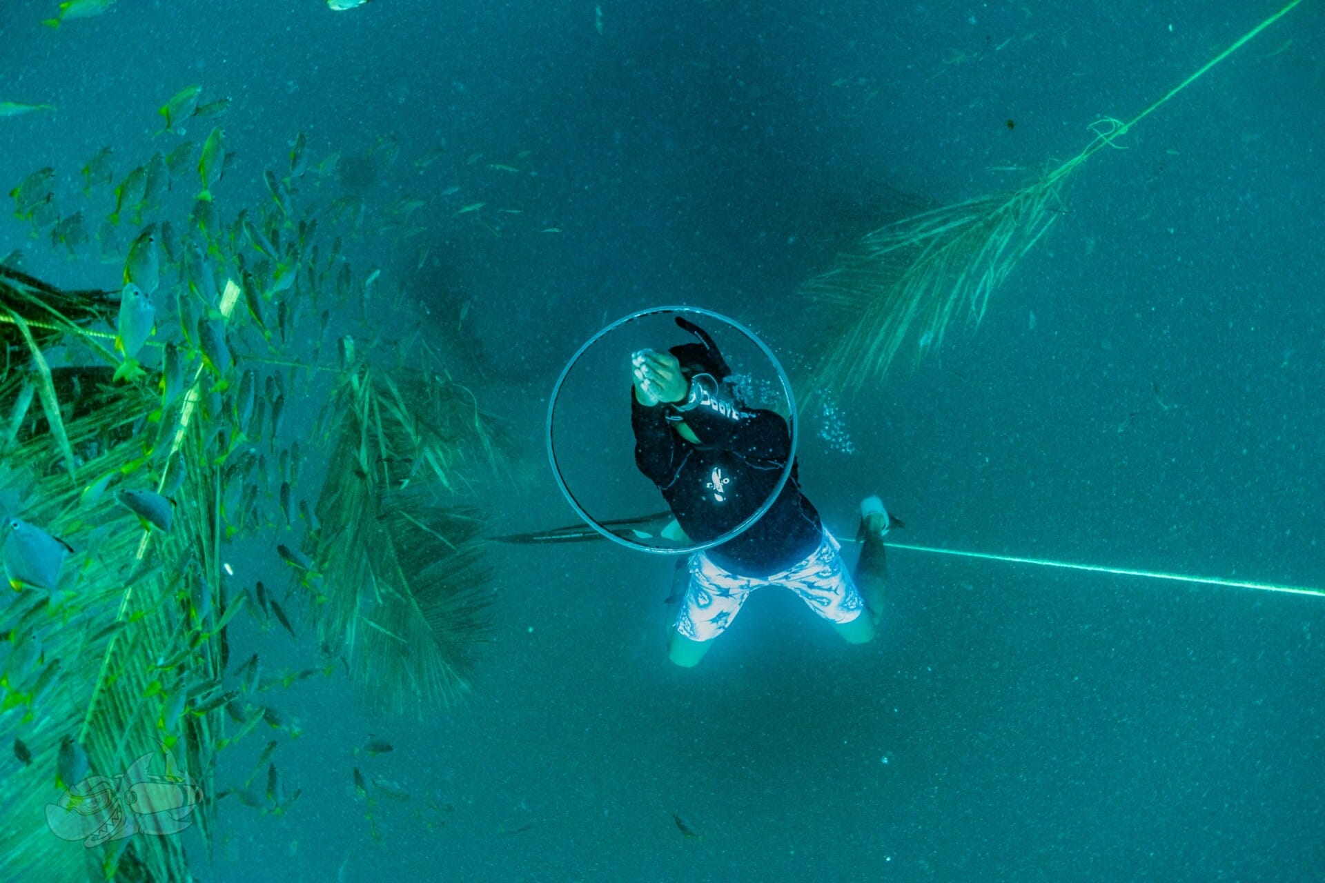 Freediver + Advanced Freediver Combo