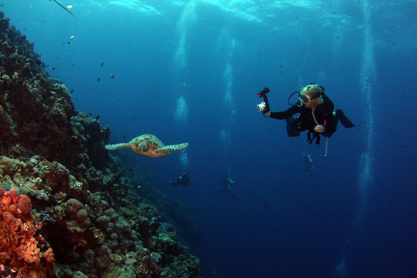 Lakshadweep scuba diving experience 1