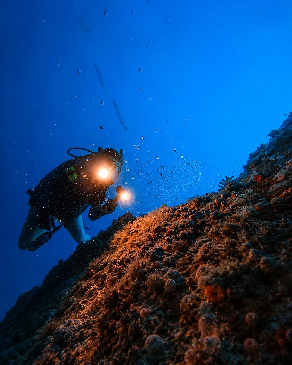 Lakshadweep Dive Trip