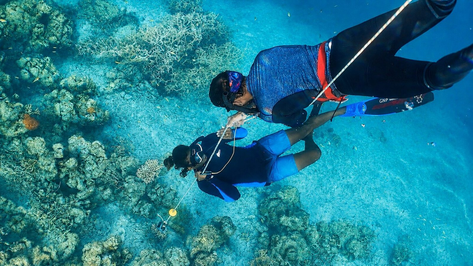 Freediving fun dive over coral reef