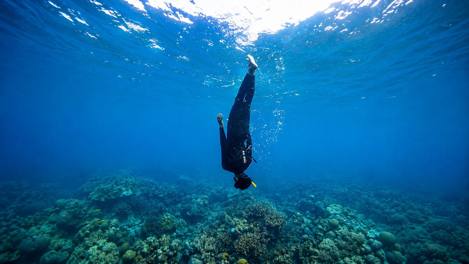 Lakshadweep freediving experience
