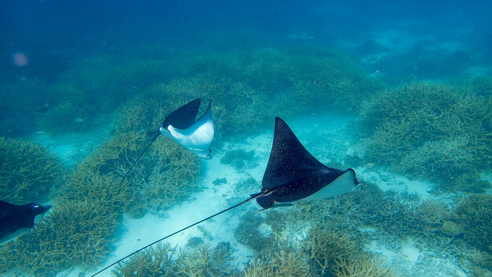 Thinnakara Island