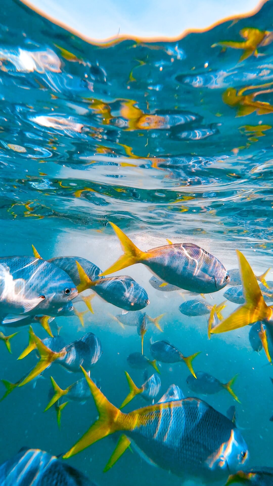 Lakshadweep scuba diving experience 9