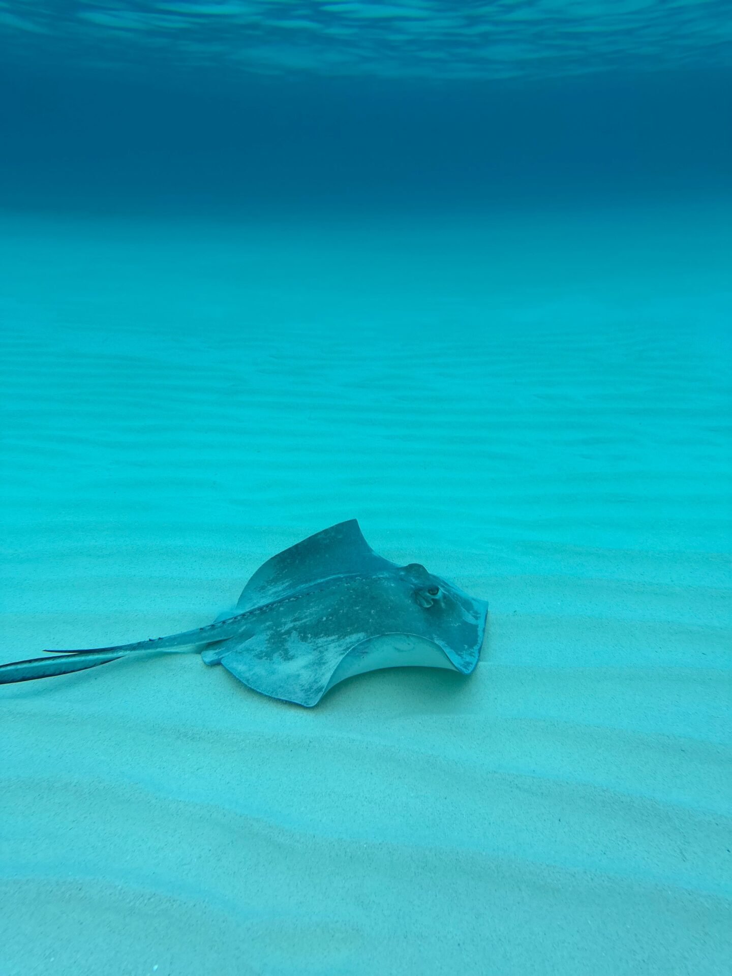 Lakshadweep scuba diving experience 10