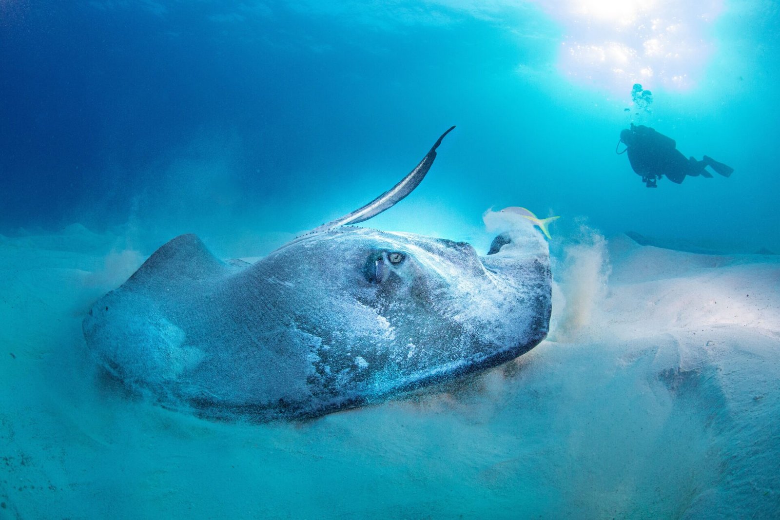 Lakshadweep scuba diving experience 15