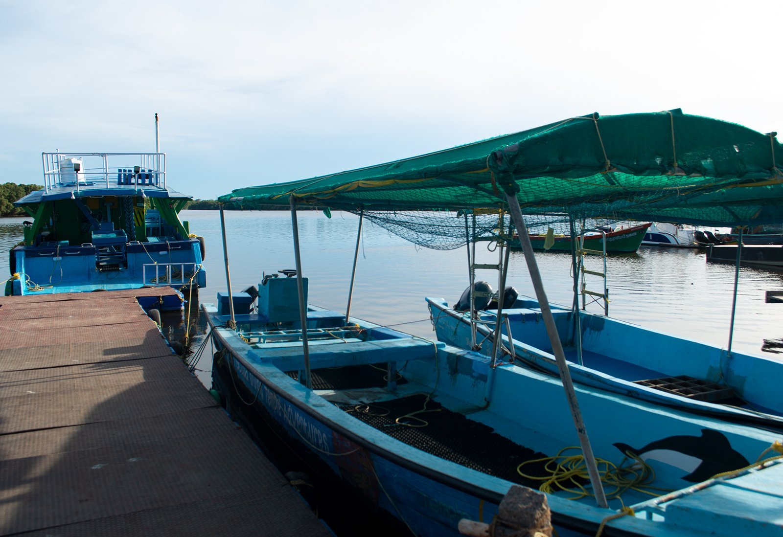 Boat Diver - Image 2